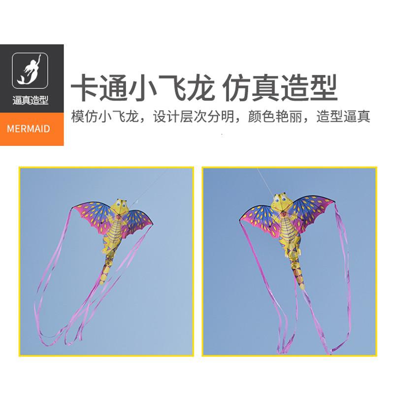 2020新款大型创意有趣长尾卡通恐龙飞龙翼龙成人儿童风筝线轮创意 三维工匠 飞龙单风筝高清大图