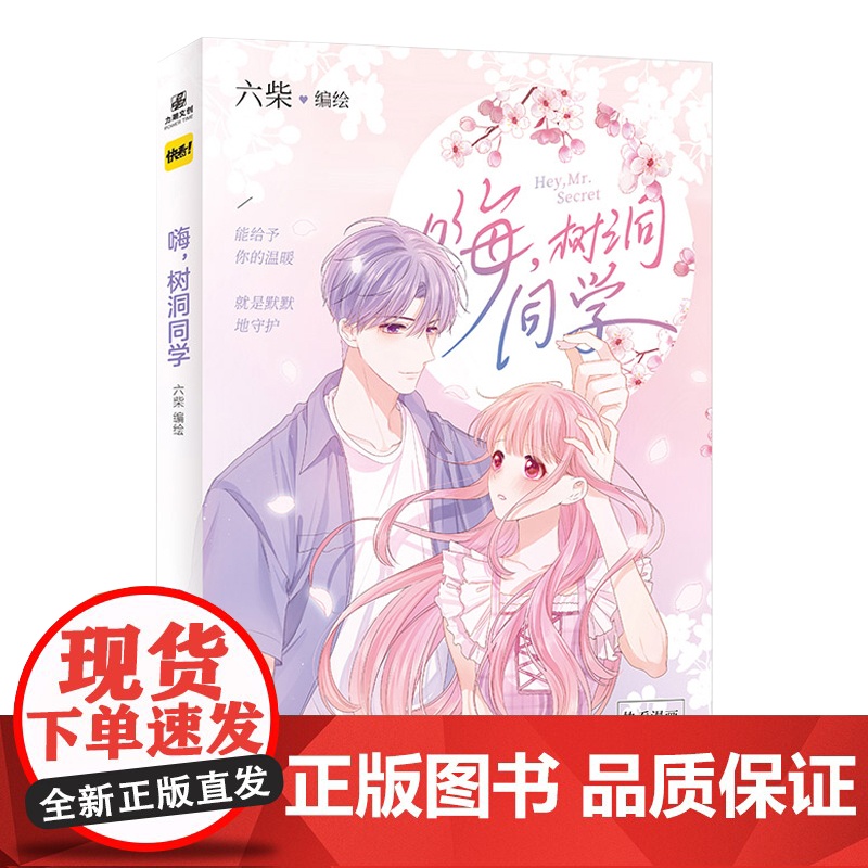 嗨 六柴 北京工艺美术出版社 正版书籍