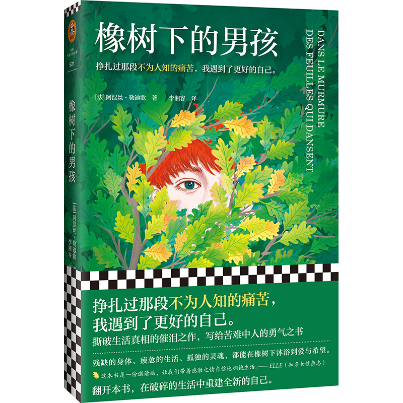 正版新书】橡树下的男孩(法)阿涅丝·勒迪歌9787555912804