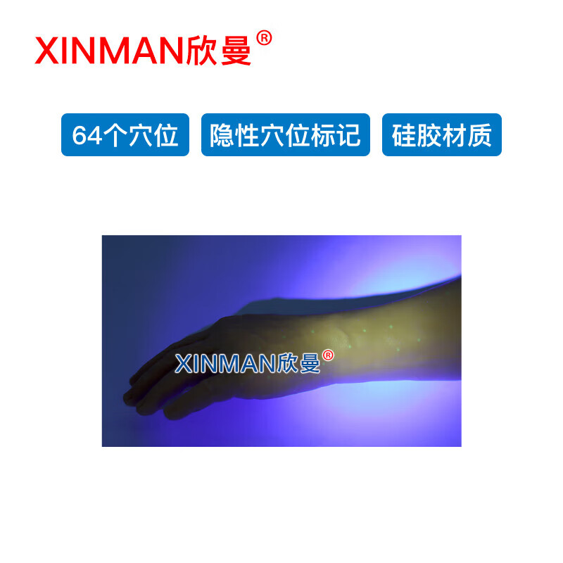 欣曼科教 针灸手臂训练模型 针灸针刺训练手臂模型XM-ZC03高清大图