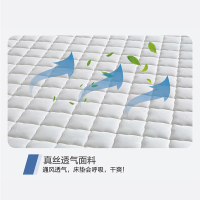 斯俪澜床垫环保椰棕弹簧床垫1.5 1.8米进口天然乳胶卧室床垫