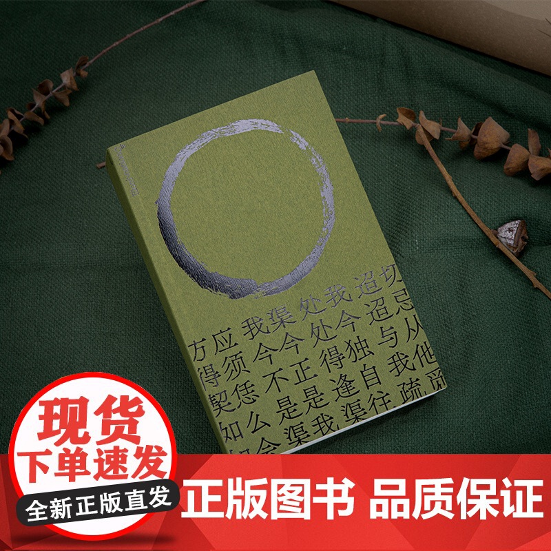 理想国 | 人生哲学 人生解忧:佛学入门四十讲 成庆 用佛学智慧回应现代人的心灵困境 大哲学家思想家 存在与时间读本 打高清大图