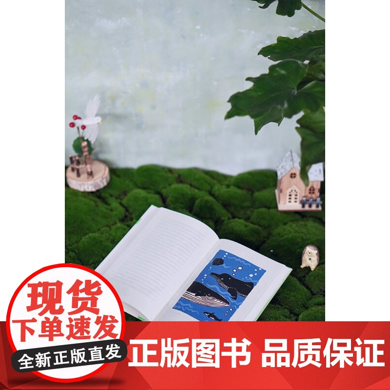 自由大地丛书 夏日木屋札记 一场跨越物种的生命对话 妮娜·波顿 著 科普读物高清大图