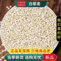 沈之问 白藜麦100克/一袋