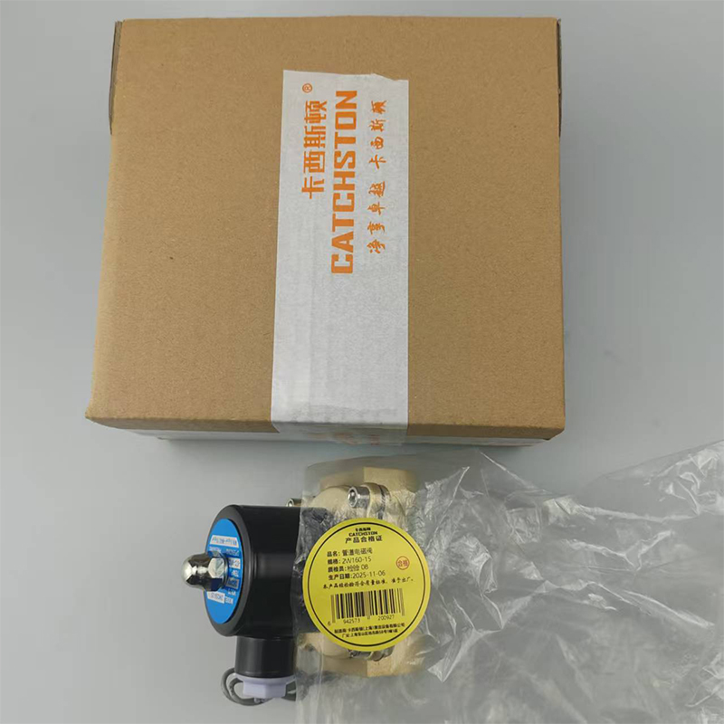 卡西斯顿 管道电磁阀 2W160-15 个高清大图