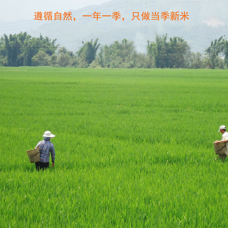 米妹妹(MIMEIMEI) 东北软香米 500g(3盒起订)高清大图