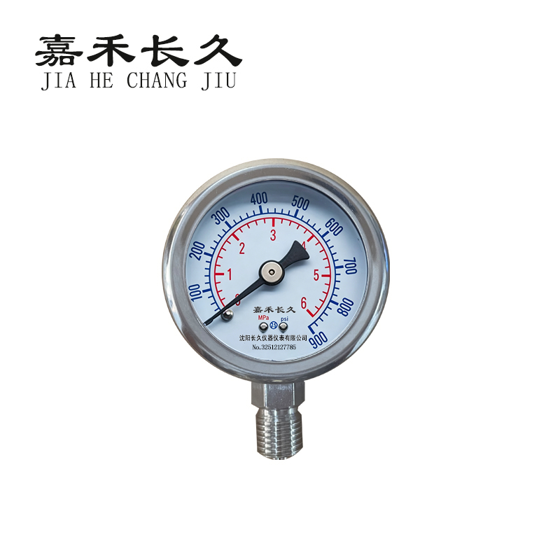 嘉禾长久 压力表检测型 Y40 块 Y40，0-6Mpa