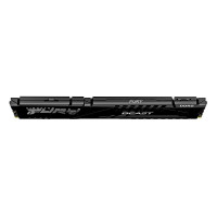 金士顿 (Kingston) FURY台式机内存条 Beast野兽系列 DDR5 5600 16G骇客神条