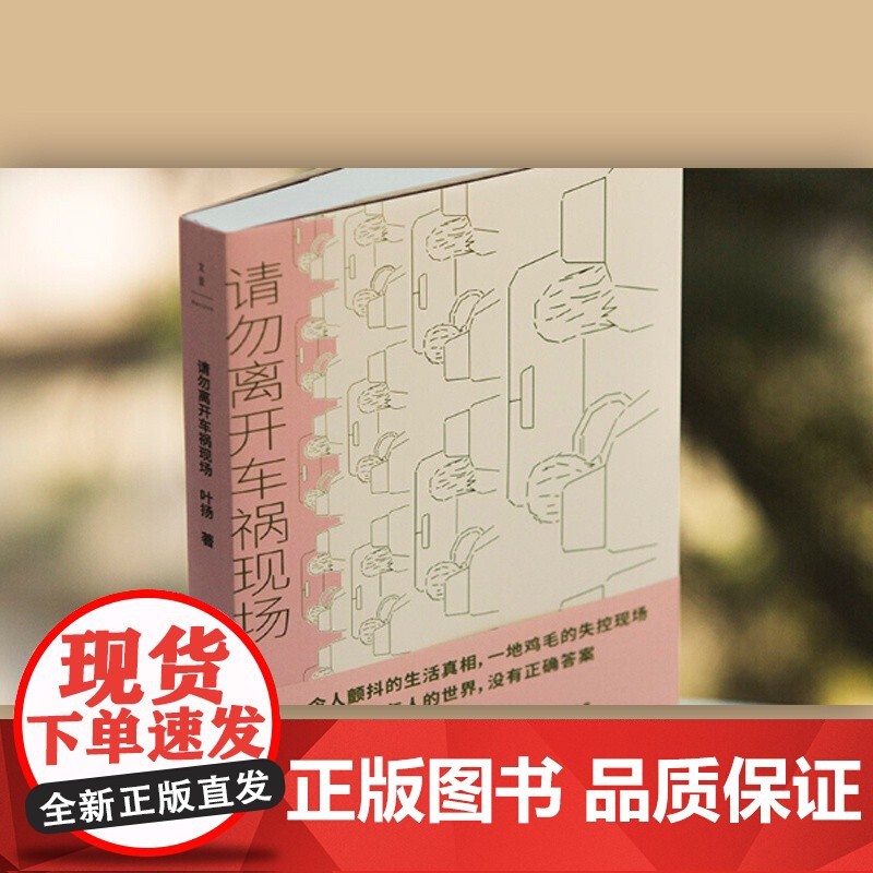 请勿离开车祸现场 叶扬 另著/胖子 短篇小说 中国当代小说 小说集 生活真相 真实案例 成年人的世界 上海人民出版社高清大图
