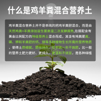 坤宁王营养土养花通用型家用多肉兰花专用土土壤泥炭土种植土花土