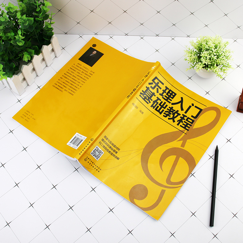 [正版]乐理入门基础教程 乐理基础知识音乐理论基础知识 五线谱入门书籍 五线谱与音符教程 乐理基础自学入门教程书 初级高清大图