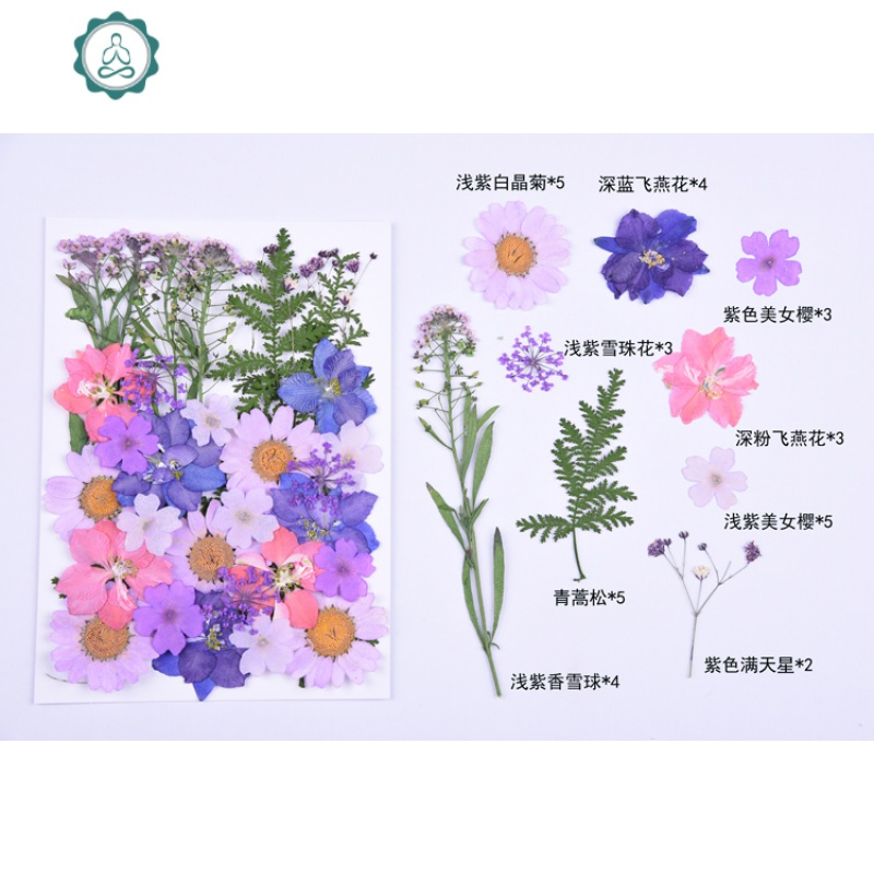 林小宅同款写真亲子装婚纱照汉服照干花花瓣贴脸妆干花压花手机壳 封后 紫色系花材包(送睫毛胶) 干花包
