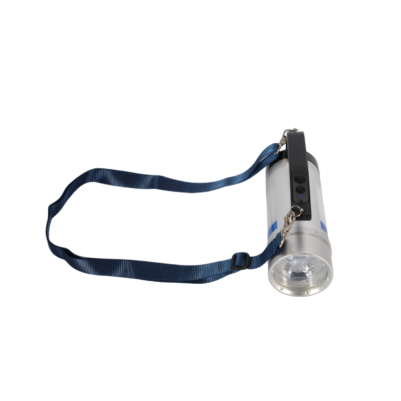 维莱奥斯 ST4004 22.2V 2x12W 5300-6300K IP68 防爆便携式强光灯高清大图