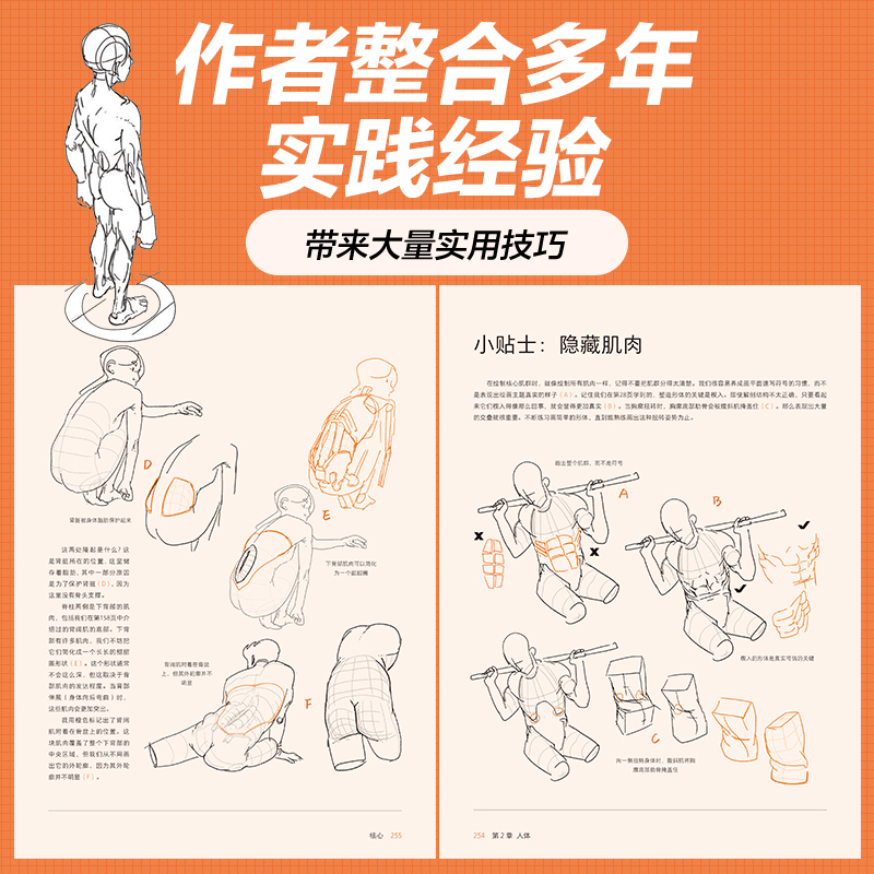 人体结构与动态塑造 [正版]出版社人体结构与动态塑造 艺术家课堂 汤姆福克斯游戏动漫人体结构手绘教程人体绘画教学素描速写高清大图