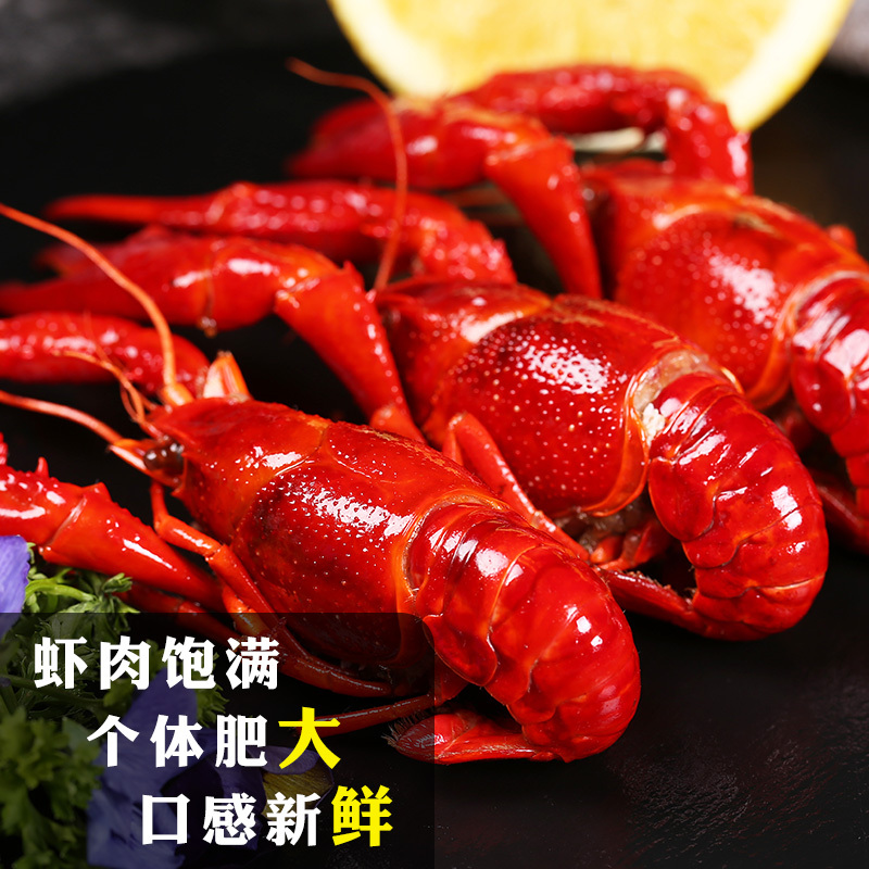 [五个农民]正宗盱眙红胖胖小龙虾 5盒750g小龙虾 麻辣味3盒 蒜香味2盒