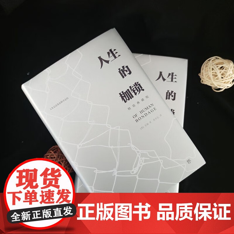 人生的枷锁 毛姆 著 小说高清大图