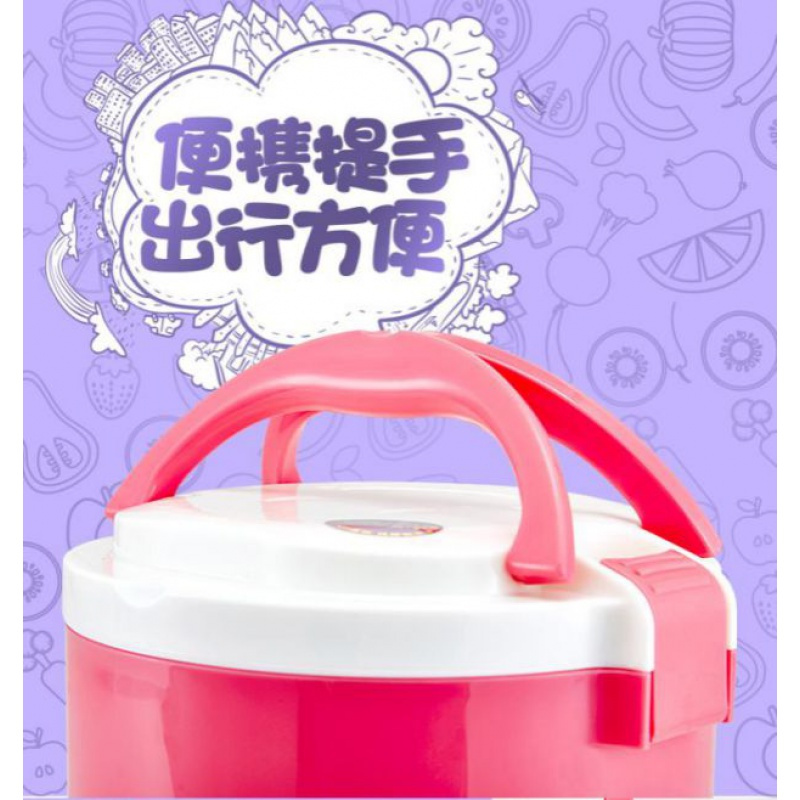 纳丽雅(Naliya)小型韩式迷你一体电饭锅1-2-3人家用车载定制 12V车载1L白C2