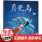 月光鸟
