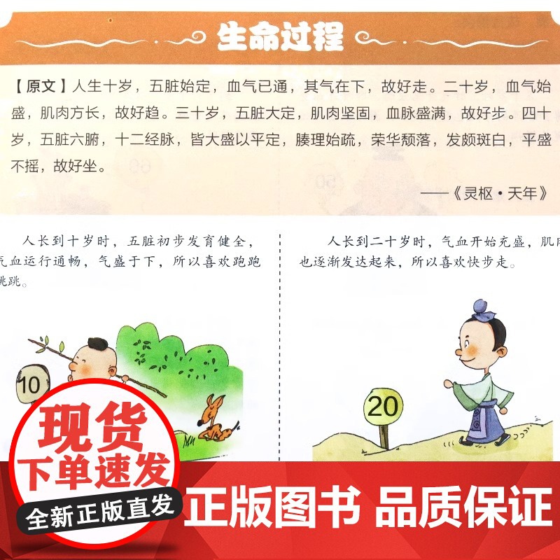 正版 黄帝内经漫画图解正版书籍漫画讲透皇帝内经白话文彩图儿童漫画版四季二十四节气养生大全书籍大全百病食疗智慧中医入门高清大图