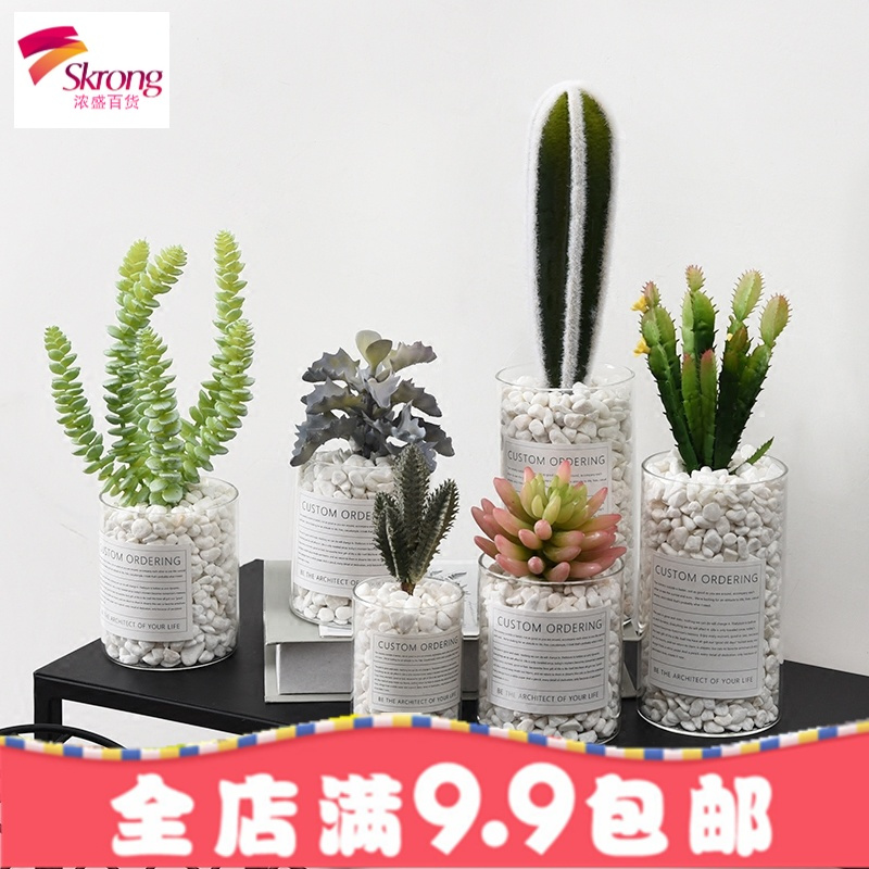 北欧盆栽ins风仿真植物假多肉小盆景客厅装饰室内摆设仙人掌摆件