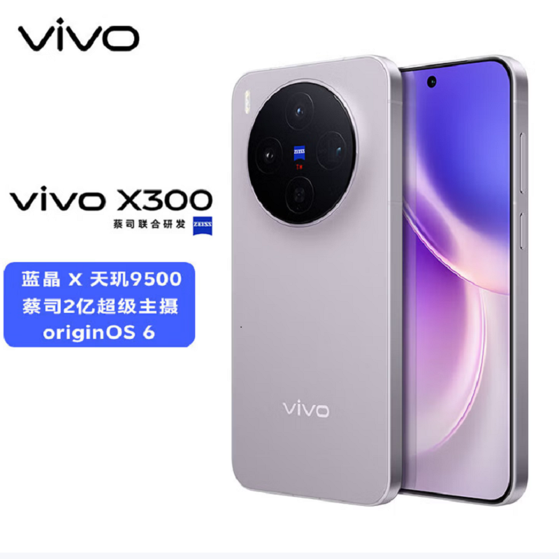 vivo X300 惬意紫 12GB+512GB 蓝晶×天玑9500芯 大电池 90W快充 支持无线充电 蔡司超级潜望长焦 拍照 AI手机高清大图
