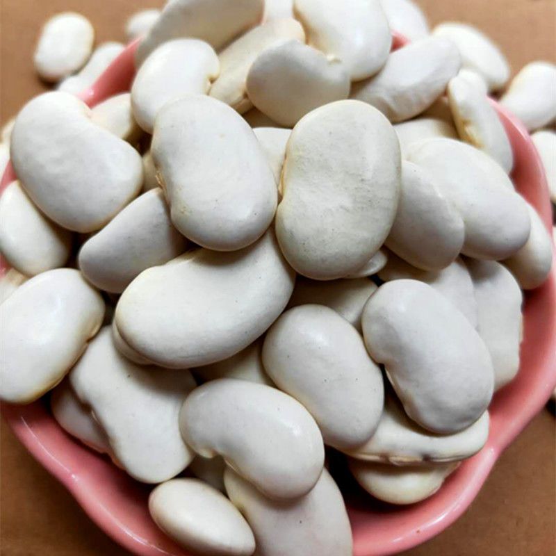 大白芸豆新货尝鲜京豆大白豆大雪豆云南土特产白芸豆250g尝鲜装