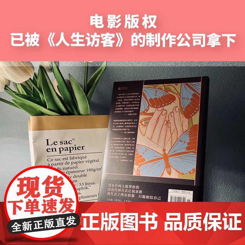 被囚禁的女孩(高智商女孩如何自救!女版《越狱》,全程烧脑,已输出二十多种语言版权,一度登顶西班牙好书榜!)高清大图