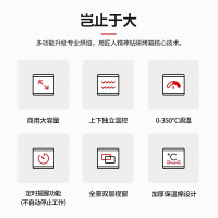 志高(CHIGO)商用烤箱一层二盘电烤箱商用大型烤炉蛋糕面包披萨烘炉焗炉烤箱 DL-12(380V)