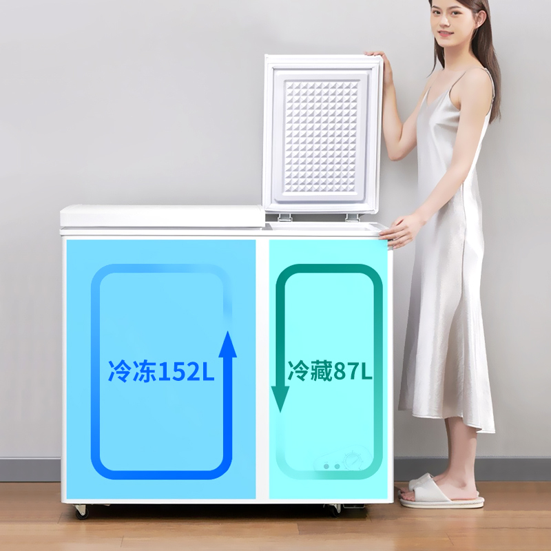 Royaistar荣事达158升双温冰柜家用小型冷藏冷冻保鲜两用冷柜官方一级节能_双温82L二级能效冷冻冷藏