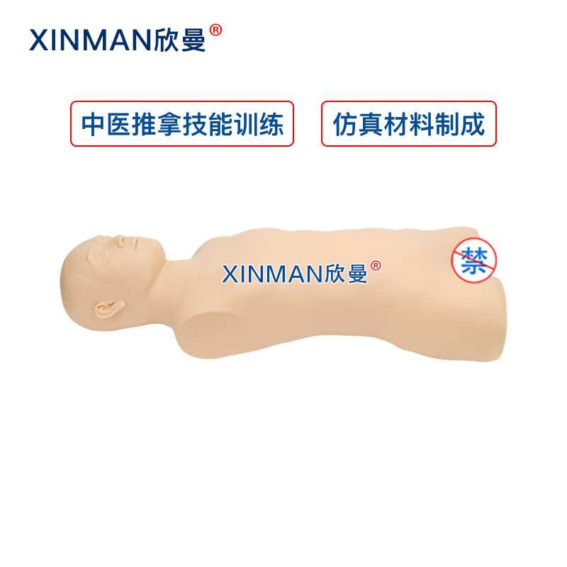 欣曼科教 中医推拿练习模型 推拿训练模拟人 中医教学人体模型XM-ZYTN高清大图