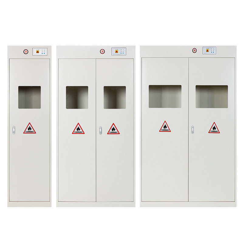 DXBG气瓶柜单双三瓶气瓶柜实验室气体安全钢瓶柜全钢智能带报警气瓶柜高清大图