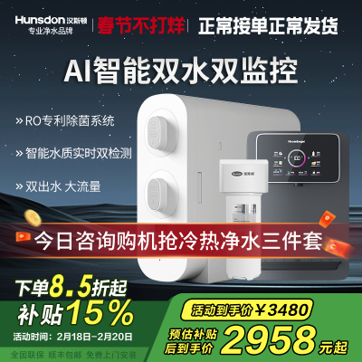 汉斯顿净水器家用直饮厨房无桶大流量500G双出水净水机ro纯水C2