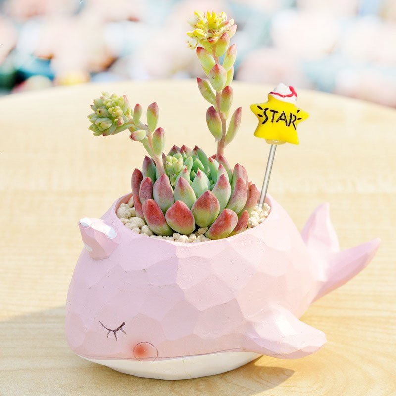 zakka田园多肉花盆可爱卡通动物花盆鲸鱼花园派对创意小花盆套餐