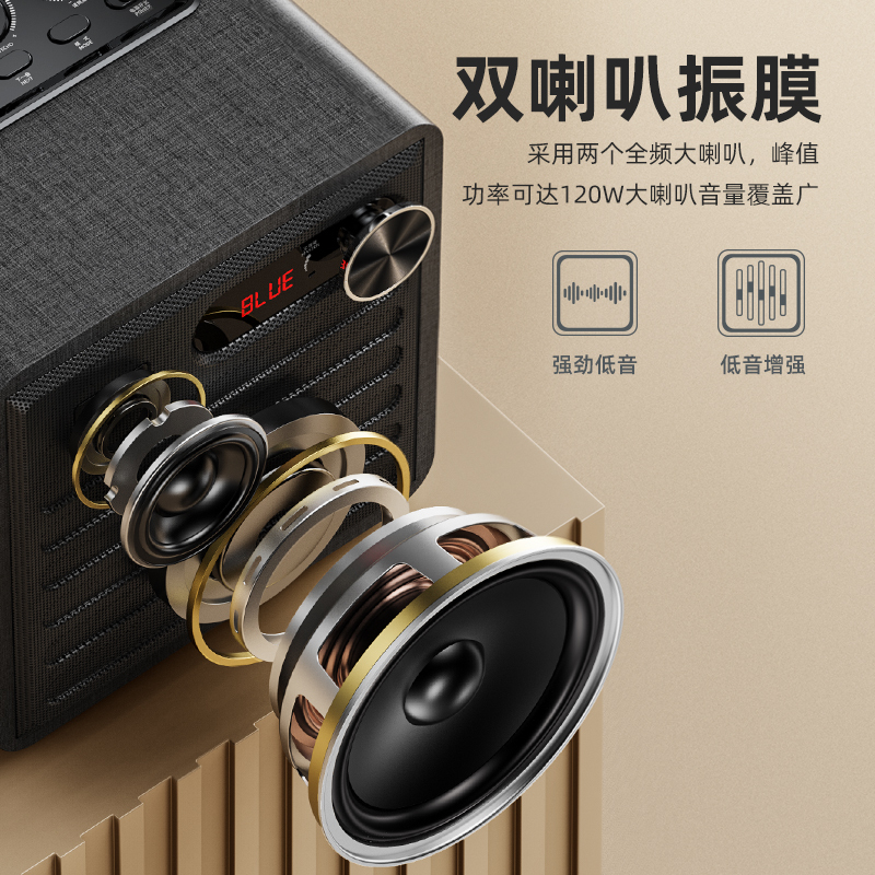 联想(Lenovo) TS1手提户外音箱 双无线话筒大功率蓝牙音响 低音炮广场舞带话筒K歌家用唱歌便携式KTV