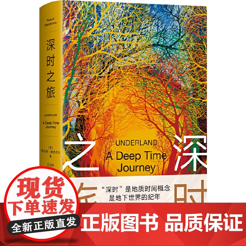 深时之旅 麦克法伦作品 反思明天 重启当下 未来人类备忘录 科学 新知类读书榜单 剑桥学者 布克奖 北大教授何怀宏高清大图