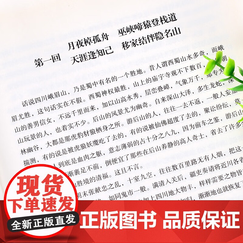 [央视网]蜀山剑侠传 软精装 全10册 被誉为天下奇书的武侠小说 还珠楼主代表作 蜀山战纪原著小说 附蜀山剑侠后传 峨眉高清大图