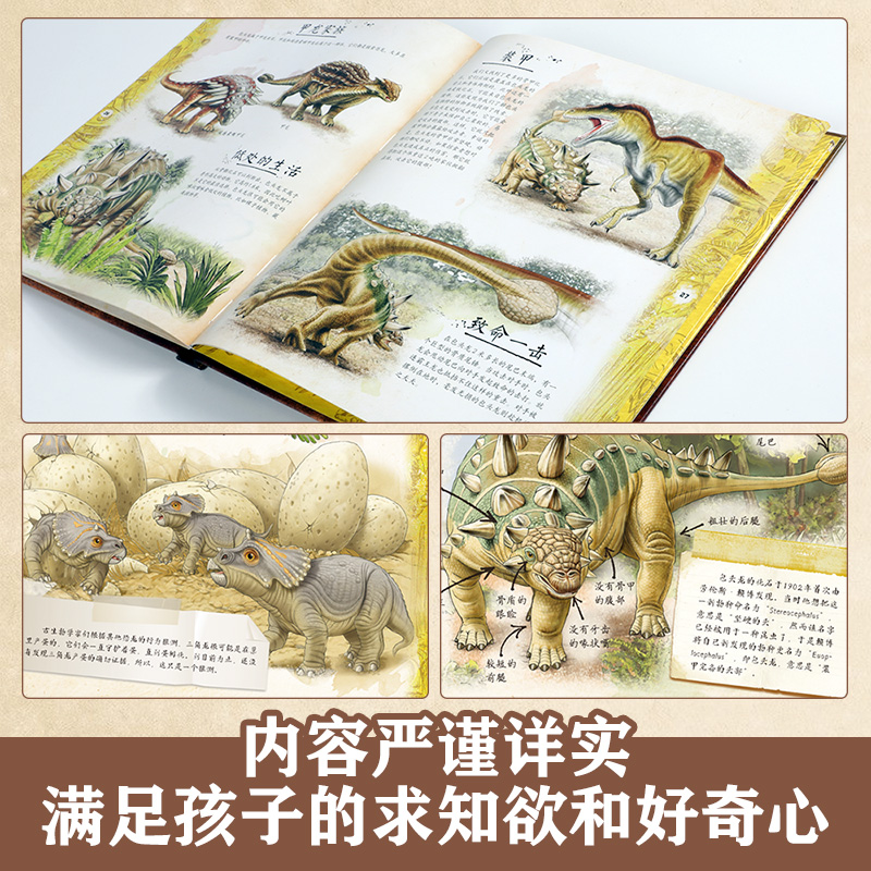 博物学家探秘手记拼插立体书 探秘恐龙 [正版]博物学家探秘手记拼插立体书 探秘恐龙3-6-8-10岁儿童揭秘恐龙科普百科高清大图