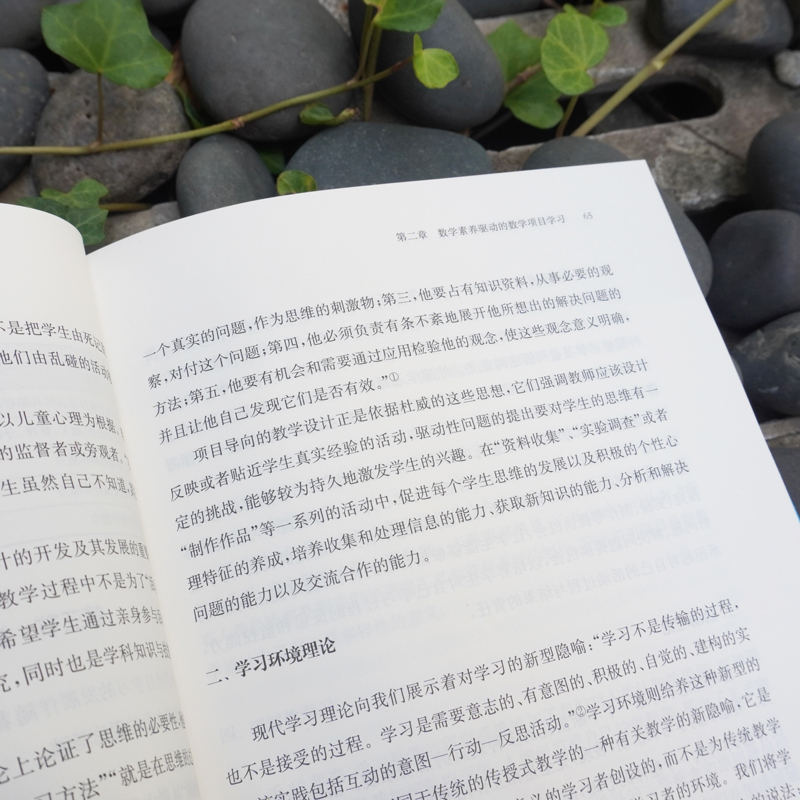 数学素养与数学项目学习 [正版]数学素养与数学项目学习 徐斌艳 等 著 教育/教育普及文教 书店图书籍 华东师范大学出版高清大图