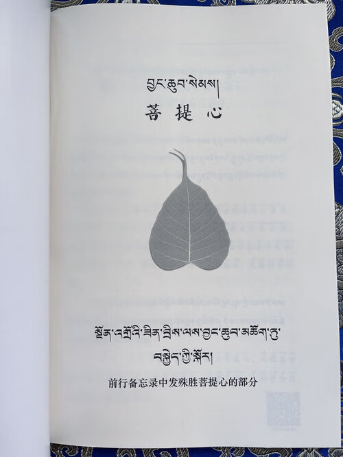 苦提心 堪布阿琼仁波切 著 索达吉堪布译16开本封面带花纹 封面带花纹高清大图