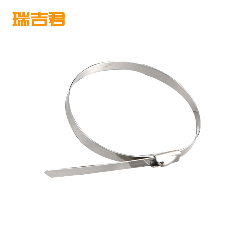 瑞吉君 304不锈钢扎带 10*600mm 50支 包高清大图