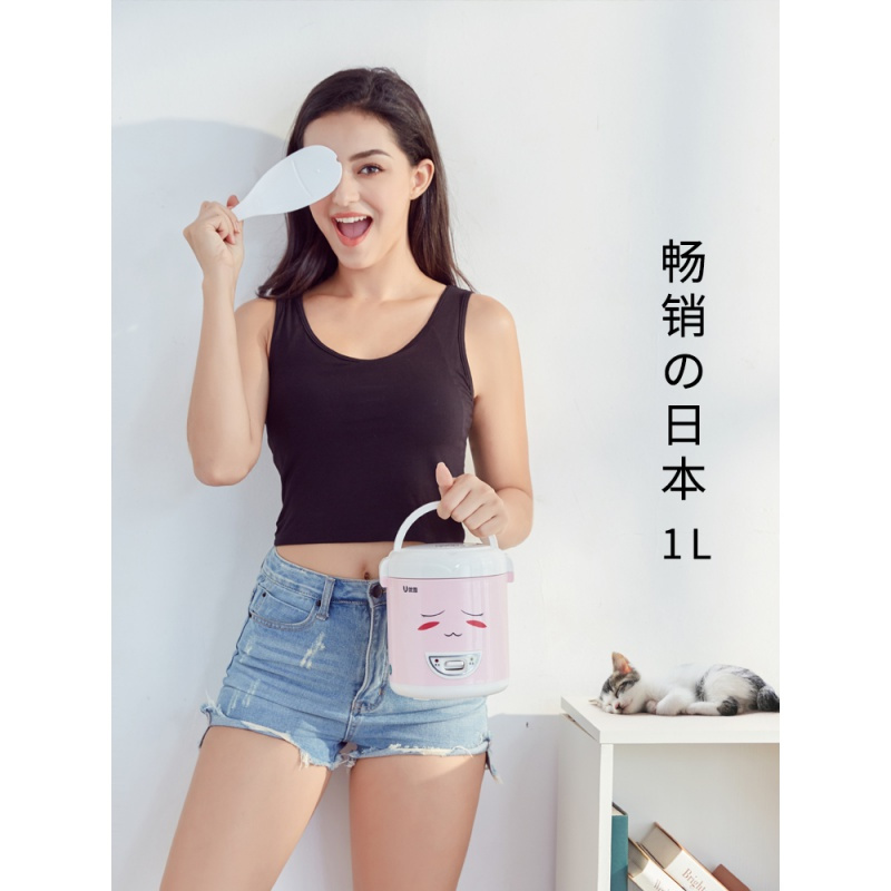 一个人用的小电饭锅多功能1人-2人蒸煮迷你电饭煲锅