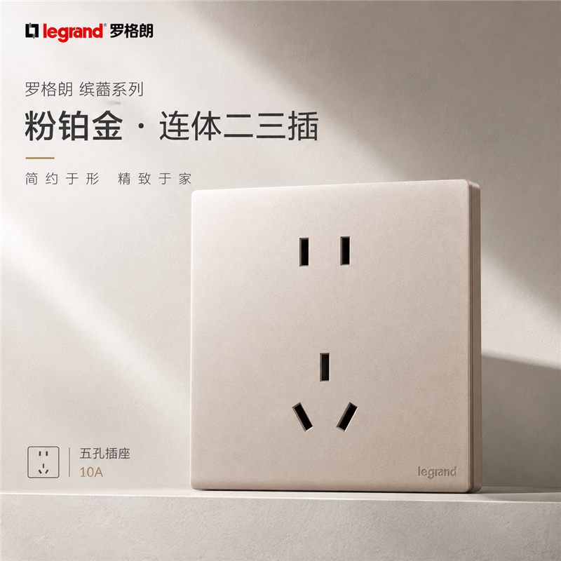 罗格朗/LEGRAND 五孔插座 暗装 F6C/426/10USL-C2个
