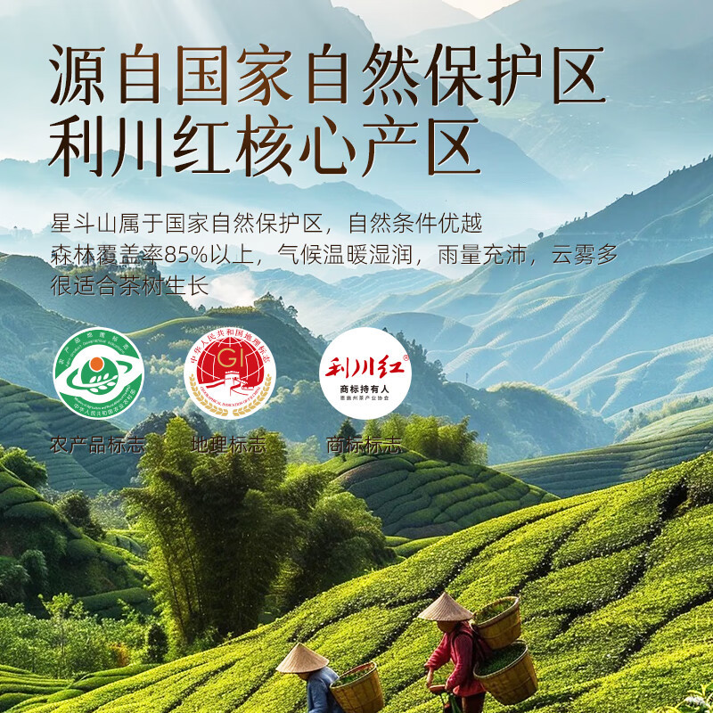 茶马世家利川红如见青山礼盒200g(100g*2罐)恩施富硒产区功夫红茶档陶瓷礼盒送礼红茶
