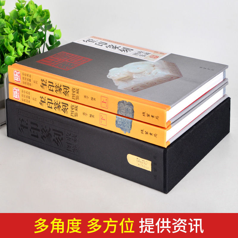 [正版]玉玺篆刻鉴赏全套2册 精装彩色铜版中国玺印篆刻通史聚珍古玺印图典印章印谱大图示君匋艺术院藏三家名印二百品中国书高清大图