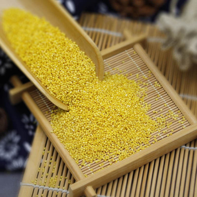 轩辕谷道油小米食用油脂小米500g/罐小米粥原料粟米1斤装农家杂粮熬粥小米