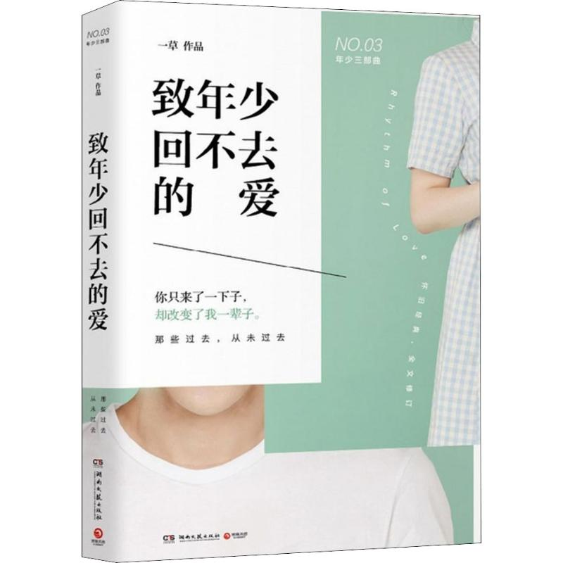 [M]致年少回不去的爱-9787540485030高清大图