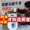 [强力型]洁厕灵蓝泡泡清香型洁厕宝除臭厕所马桶清洁剂水箱除垢 [清香超耐用版]1个装 正品老牌[好力星] 效果就是猛