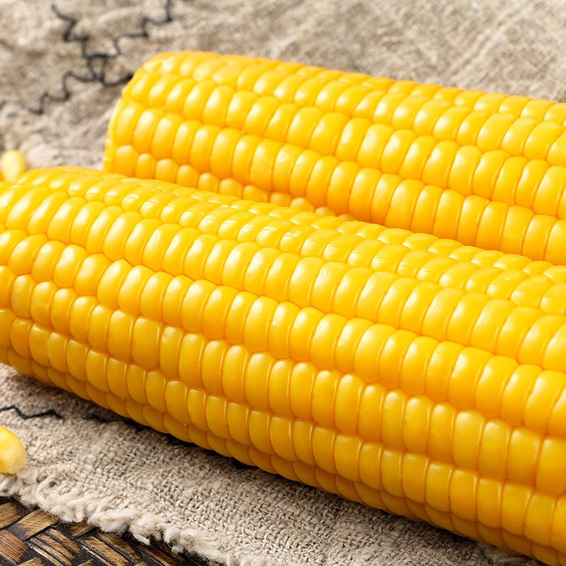 御稻稔糯玉米棒精选大玉米棒260g3只非转基因甜糯玉米生鲜新鲜黏玉米