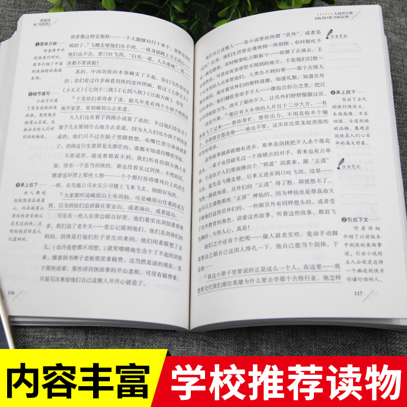 [正版]大林和小林五年级六年级文学类目录张天翼原著小学生三四年级青少年立人编天地出版社彩图美绘名师导读带批注无障碍阅读