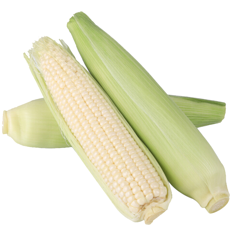 云南水果玉米9斤装 鲜嫩多汁,甜脆可口,可生吃可煲汤可蒸煮 kfc的玉米